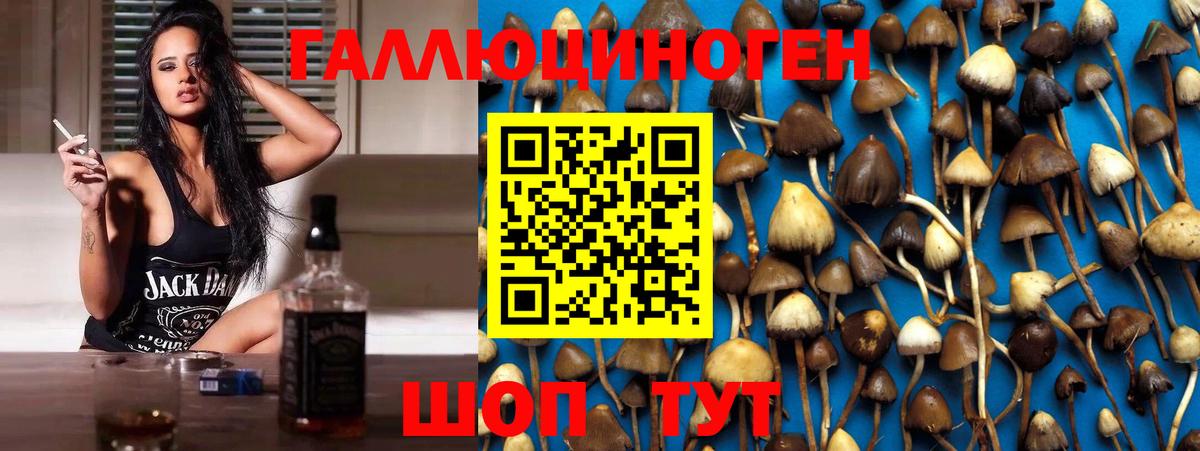 Галлюциногенные грибы Cubensis Ликино-Дулёво