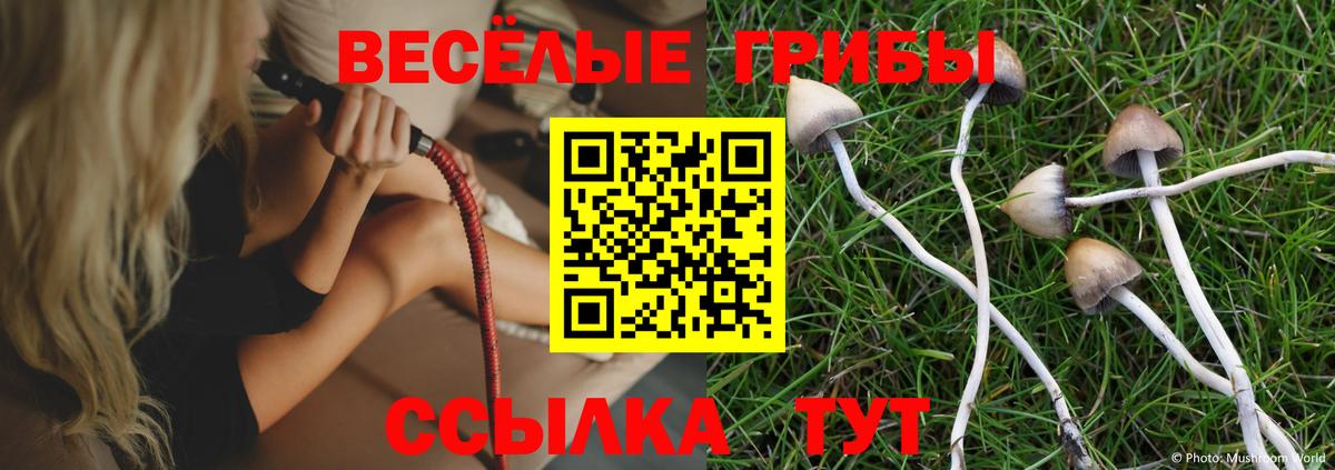 Галлюциногенные грибы ЛСД  Вход с VPN  Ликино-Дулёво 